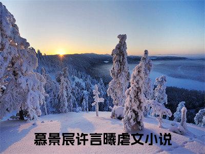 (番外)+(全文)娘娘富可敌国，独霸后宫计谋多：番外+全文+后续（慕景宸许言曦）完整版小说阅读_娘娘富可敌国，独霸后宫计谋多：番外+全文+后续免费阅读_笔趣阁（慕景宸许言曦）