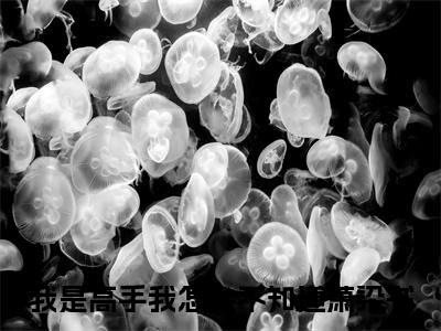 我是高手我怎么不知道萧染书：结局+番外(我是高手我怎么不知道萧染书)全文免费阅读无弹窗大结局_(我是高手我怎么不知道萧染书：结局+番外)最新章节列表_笔趣阁(我是高手我怎么不知道萧染书)