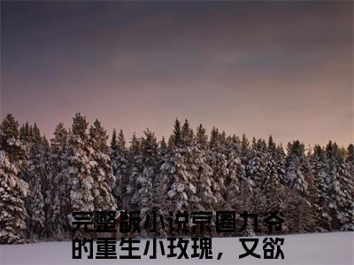 (番外)+(结局)京圈九爷的重生小玫瑰，又欲又乖（孟明萱严漠九）完整全文在线阅读_(京圈九爷的重生小玫瑰，又欲又乖)最新章节列表_笔趣阁（孟明萱严漠九）