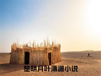 豪门强宠：替身小娇妻全文免费阅读_豪门强宠：替身小娇妻（楚明月叶薄渊）最新章节列表笔趣阁