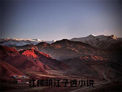 （江柳明江子逸）是什么小说-（挚爱终成幻境）全文免费阅读无弹窗大结局（江柳明江子逸）最新章节列表