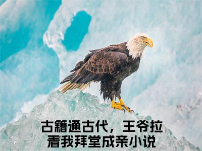 古籍通古代，王爷拉着我拜堂成亲（苏姚萧钰）全文免费阅读_古籍通古代，王爷拉着我拜堂成亲（苏姚萧钰）最新章节小说免费阅读