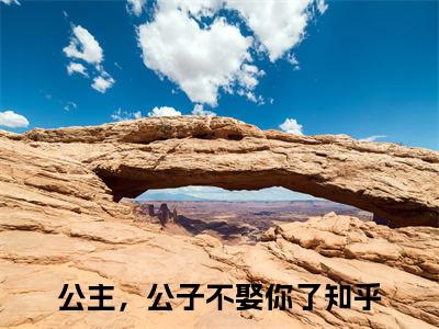 宁璟谢韵凝（公主，公子不娶你了）全文免费阅读无弹窗大结局_宁璟谢韵凝最新章节列表_笔趣阁（公主，公子不娶你了）