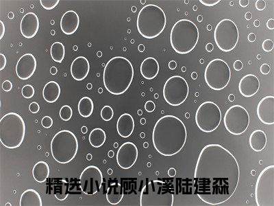七零，重生后我被最强军官花样宠（顾小溪陆建森）全文免费阅读无弹窗大结局_七零，重生后我被最强军官花样宠最新章节列表（顾小溪陆建森）