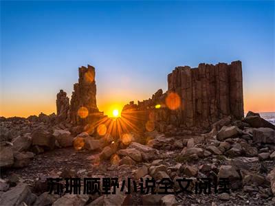 闺蜜齐穿书，嫁年代糙汉被宠哭了小说（苏珊顾野）全文免费阅读无弹窗大结局_闺蜜齐穿书，嫁年代糙汉被宠哭了全文免费完结版阅读（苏珊顾野）