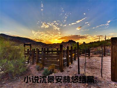 垂帘听政泄露心声，全反派跪了小说(沈景安林悠)小说结尾+隐藏篇章（垂帘听政泄露心声，全反派跪了沈景安林悠）畅享阅读