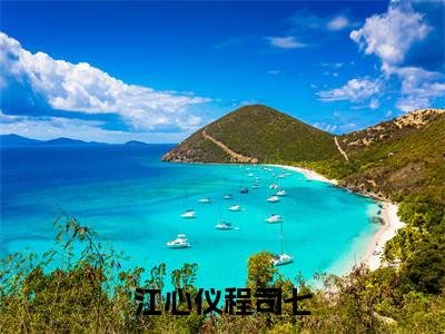 江心仪程司七全文免费阅读大结局_江心仪程司七最新章节列表_笔趣阁（我见青山别遗憾）