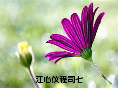 我见青山别遗憾小说（江心仪程司七）全文免费阅读无弹窗大结局_（我见青山别遗憾）江心仪程司七小说最新章节列表