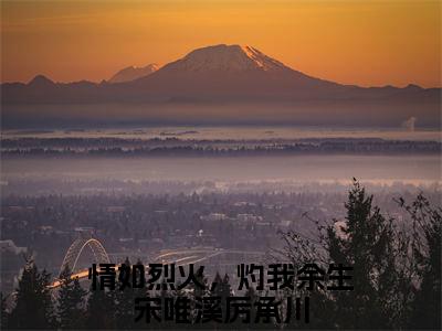 (番外)+(全文)情如烈火，灼我余生：番外+全文+后续（宋唯溪厉承川）完整版小说阅读_情如烈火，灼我余生：番外+全文+后续免费阅读_笔趣阁（宋唯溪厉承川）