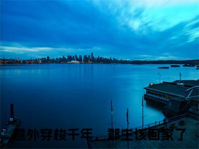 陆景桓苏婉棠：全文+番外（陆景桓苏婉棠：全文+番外）全文免费阅读无弹窗大结局_陆景桓苏婉棠：全文+番外（意外穿梭千年，郡主该回家了）最新章节列表_笔趣阁（意外穿梭千年，郡主该回家了）