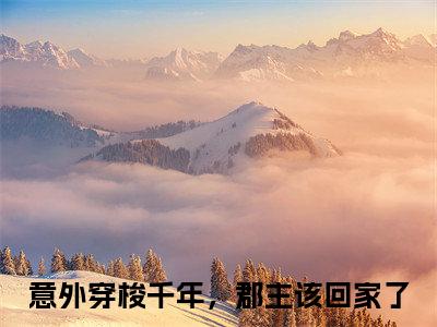 意外穿梭千年，郡主该回家了（陆景桓苏婉棠）免费阅读无弹窗大结局_意外穿梭千年，郡主该回家了小说（陆景桓苏婉棠）免费阅读最新章节列表