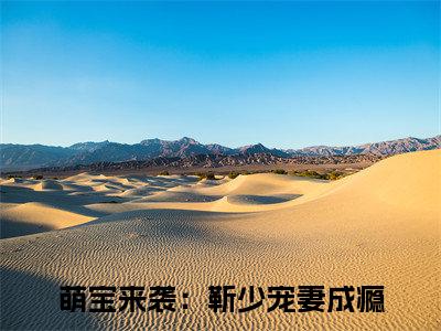 苏明浅靳霆琛（萌宝来袭：靳少宠妻成瘾/苏明浅靳霆琛：结局+番外）全文免费阅读无弹窗大结局_(苏明浅靳霆琛)最新章节列表_笔趣阁（萌宝来袭：靳少宠妻成瘾/萌宝来袭：靳少宠妻成瘾：结局+番外）