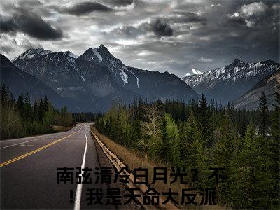 南弦（清冷白月光？不！我是天命大反派）全文免费阅读无弹窗大结局_（清冷白月光？不！我是天命大反派）免费阅读无弹窗最新章节列表