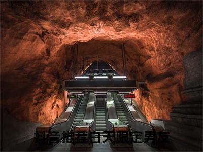 宋闻鸢顾洗舟(白天限定男友：结局+番外)全文免费阅读无弹窗大结局_(宋闻鸢顾洗舟)白天限定男友最新章节列表_笔趣阁(宋闻鸢顾洗舟：结局+番外)