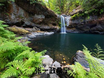 (番外)+(结局)张书记家的小姑娘：结局+番外(张一政桑宁)全文免费阅读无弹窗大结局_(张书记家的小姑娘：结局+番外)最新章节列表_笔趣阁(张一政桑宁)