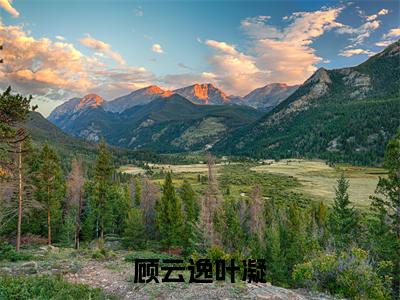 月亮失约，爱意沉默（顾云逸叶凝小说）全文免费阅读无弹窗大结局_顾云逸叶凝完整版小说阅读