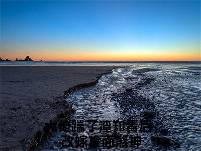终章小说林六福沈开池完结篇(大佬踹了渣知青后，改嫁冷面煞神)已更新+延伸（林六福沈开池）清爽版