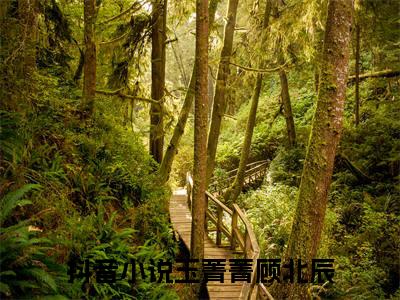 玉菁菁顾北辰（玉菁菁顾北辰）全文免费阅读无弹窗大结局_（玉菁菁顾北辰）玉菁菁顾北辰最新章节列表_笔趣阁（玉菁菁顾北辰）