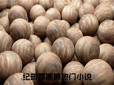 纪筠霍寒爵后续+番外（纪筠霍寒爵）全文免费阅读无弹窗大结局_纪筠霍寒爵后续+番外免费阅读_笔趣阁（纪筠霍寒爵后续+番外）