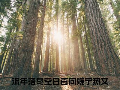 流年落尽空白首向婉宁：全文+后续（流年落尽空白首向婉宁）全文最新免费阅读无弹窗_流年落尽空白首向婉宁：全文+后续精选章节小说阅读_笔趣阁（流年落尽空白首向婉宁）