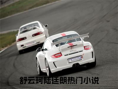 舒云珂陆廷朗（舒云珂陆廷朗）全文免费阅读大结局-舒云珂陆廷朗小说全文免费阅读最新章节列表
