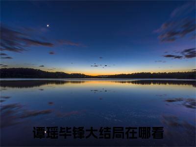 谭瑶毕锋（代号豫让）小说全文免费阅读-谭瑶毕锋（代号豫让）免费在线阅读完整版