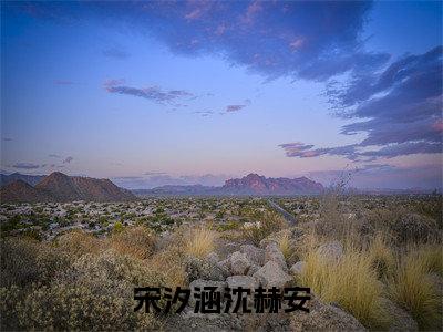 宋汐涵沈赫安小说（宋汐涵沈赫安）全文免费阅读无弹窗大结局_宋汐涵沈赫安小说最新章节列表_笔趣阁（宋汐涵沈赫安）