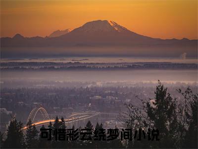 （可惜彩云绕梦间）全文免费阅读无弹窗大结局_徐莫庭段弥月最新章节列表_笔趣阁