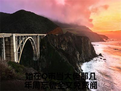 她在Q市当大佬那几年周忘忧结局最新推荐_最新章节阅读她在Q市当大佬那几年周忘忧结局