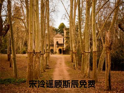 宋泠谣顾斯辰（宋泠谣顾斯辰：全文+结局+番外）全文免费阅读无弹窗大结局_(宋泠谣顾斯辰)最新章节列表_笔趣阁（宋泠谣顾斯辰：全文+结局+番外）