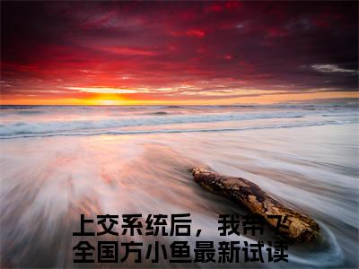 上交系统后，我带飞全国方小鱼彩蛋完整在线阅读（上交系统后，我带飞全国方小鱼）最近章节列表