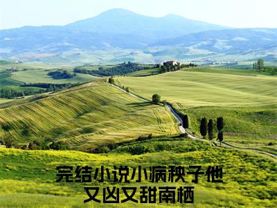 小病秧子他又凶又甜南栖（小病秧子他又凶又甜南栖）全文免费阅读无弹窗大结局_（小病秧子他又凶又甜南栖）小病秧子他又凶又甜南栖最新章节列表_笔趣阁（小病秧子他又凶又甜南栖）