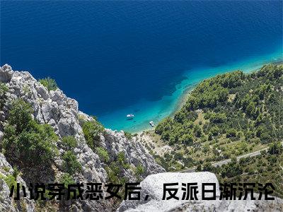 穿成恶女后，反派日渐沉沦（沈昭昭宋瑾淮小说）全文免费阅读无弹窗大结局_沈昭昭宋瑾淮完整版小说阅读