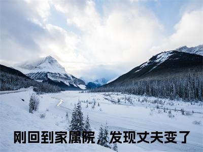 (番外)+(全文)刚回到家属院，发现丈夫变了小说免费下载阅读_(程岑华纪霆国：结局+番外)刚回到家属院，发现丈夫变了最新章节列表_笔趣阁（程岑华纪霆国：结局+番外）