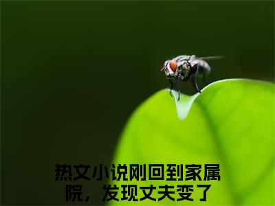 程岑华纪霆国全文（刚回到家属院，发现丈夫变了）全文免费阅读无弹窗大结局_刚回到家属院，发现丈夫变了最新章节列表_笔趣阁（程岑华纪霆国）