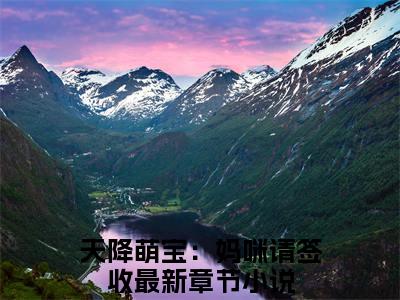 江吟顾言商（天降萌宝：妈咪请签收）全文免费阅读无弹窗大结局_天降萌宝：妈咪请签收全文免费阅读_笔趣阁（江吟顾言商）