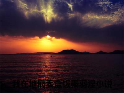 我在地府卖盒饭秦羽涅小说（我在地府卖盒饭秦羽涅）完整版全文在线赏析-小说我在地府卖盒饭秦羽涅全文大结局已完结