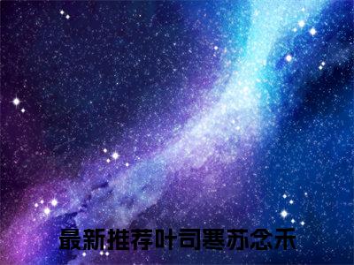 叶司寒苏念禾（叶司寒苏念禾)全文免费阅读无弹窗大结局_叶司寒苏念禾全文免费阅读_笔趣阁（叶司寒苏念禾）