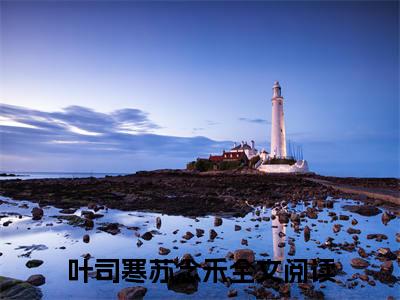 叶司寒苏念禾小说（叶司寒苏念禾）全文免费阅读无弹窗大结局_（叶司寒苏念禾小说全文免费阅读无弹窗）叶司寒苏念禾最新章节列表_笔趣阁（叶司寒苏念禾小说）