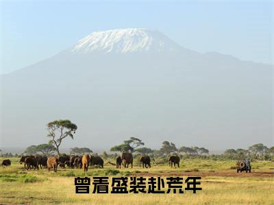 曾着盛装赴荒年结局+番外（宋初远姜媛）全文免费阅读全集完整版_曾着盛装赴荒年结局+番外最新章节无弹窗（宋初远姜媛）