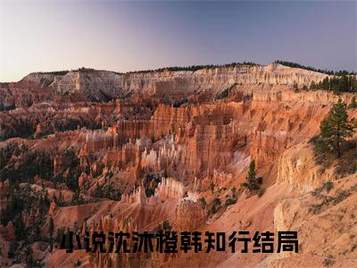 沈沐橙韩知行续集(沈沐橙韩知行)章节前文+全书阅读（沈沐橙韩知行）最新连载