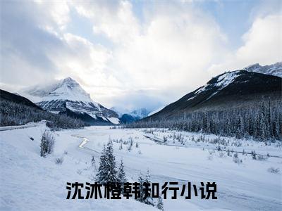 沈沐橙韩知行续集起点章节+全书阅读（沈沐橙韩知行）书荒必看
