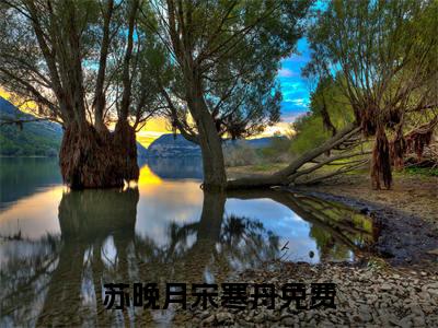 苏晚月宋寒舟小说(苏晚月宋寒舟)（苏晚月宋寒舟）完整章节列表_笔趣阁