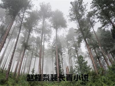 赵槿梨裴长青小说完整在线阅读（赵槿梨裴长青）前传列表