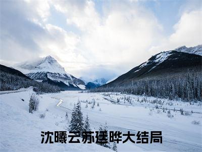 沈曦云苏廷晔是什么小说(沈曦云苏廷晔)（沈曦云苏廷晔）全本完整清爽版在线+无广告结局