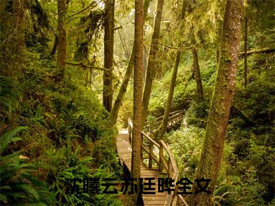 (番外)+(全文)沈曦云苏廷晔小说免费下载阅读_(沈曦云苏廷晔)沈曦云苏廷晔最新章节列表_笔趣阁（沈曦云苏廷晔）