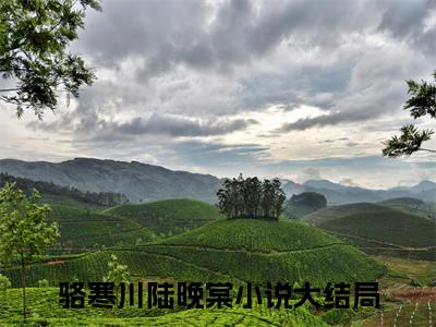小说大结局小说骆寒川陆晚棠小说已更新+特别篇（骆寒川陆晚棠）纯净版