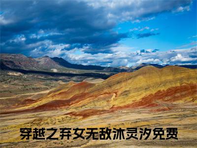 穿越之弃女无敌沐灵汐（穿越之弃女无敌沐灵汐：结局+番外）全文免费阅读无弹窗大结局_穿越之弃女无敌沐灵汐最新章节列表_笔趣阁（穿越之弃女无敌沐灵汐：结局+番外）