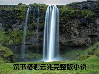 沈书榕谢云兆结局最新推荐_最新章节阅读沈书榕谢云兆结局