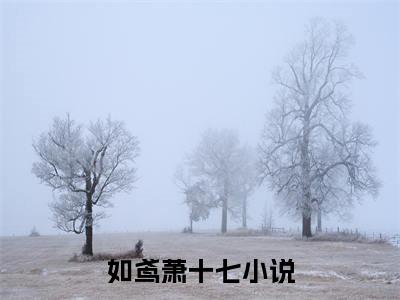 小说如鸢萧十七左手亡夫右手财，王妃管杀不管埋(如鸢萧十七)已更新+无删减（左手亡夫右手财，王妃管杀不管埋）